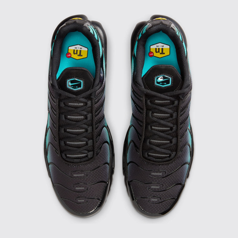Nike Air Max Plus Black Dusty Cactus Sneaker – Draufsicht des Paares